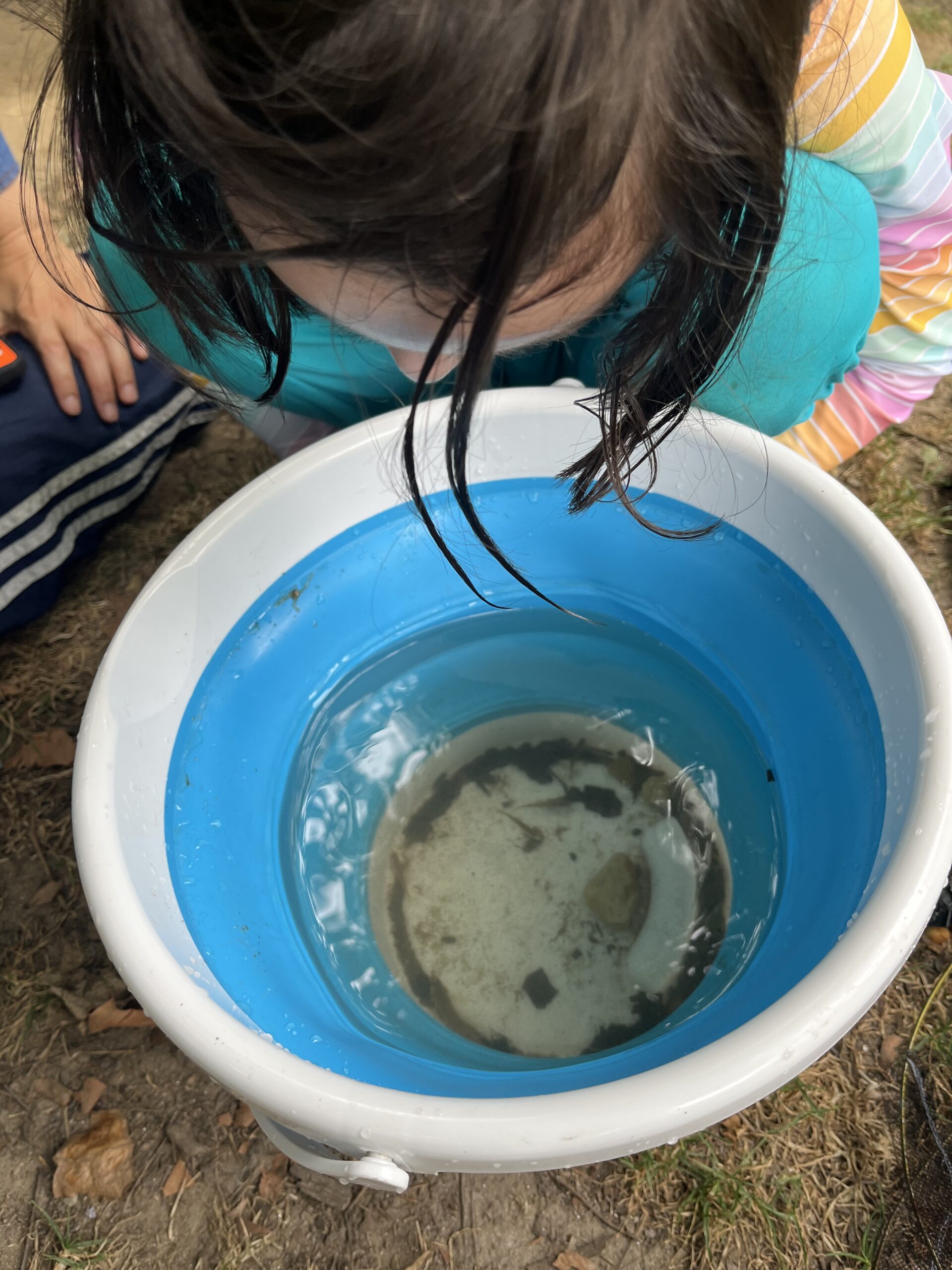 All Together Outdoors Camp (7)